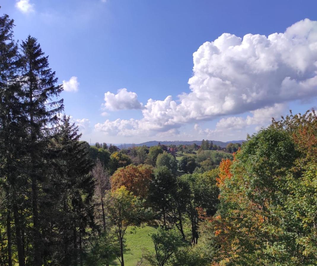 Fewo Harzer Weitblick, Hunde Willkommen, W-Lan, 2X Smart Tv, Dtv 4 Sterne, 4 Pfoten Braunlage Exteriör bild