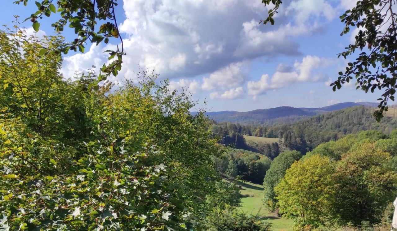 Fewo Harzer Weitblick, Hunde Willkommen, W-Lan, 2X Smart Tv, Dtv 4 Sterne, 4 Pfoten Braunlage Exteriör bild