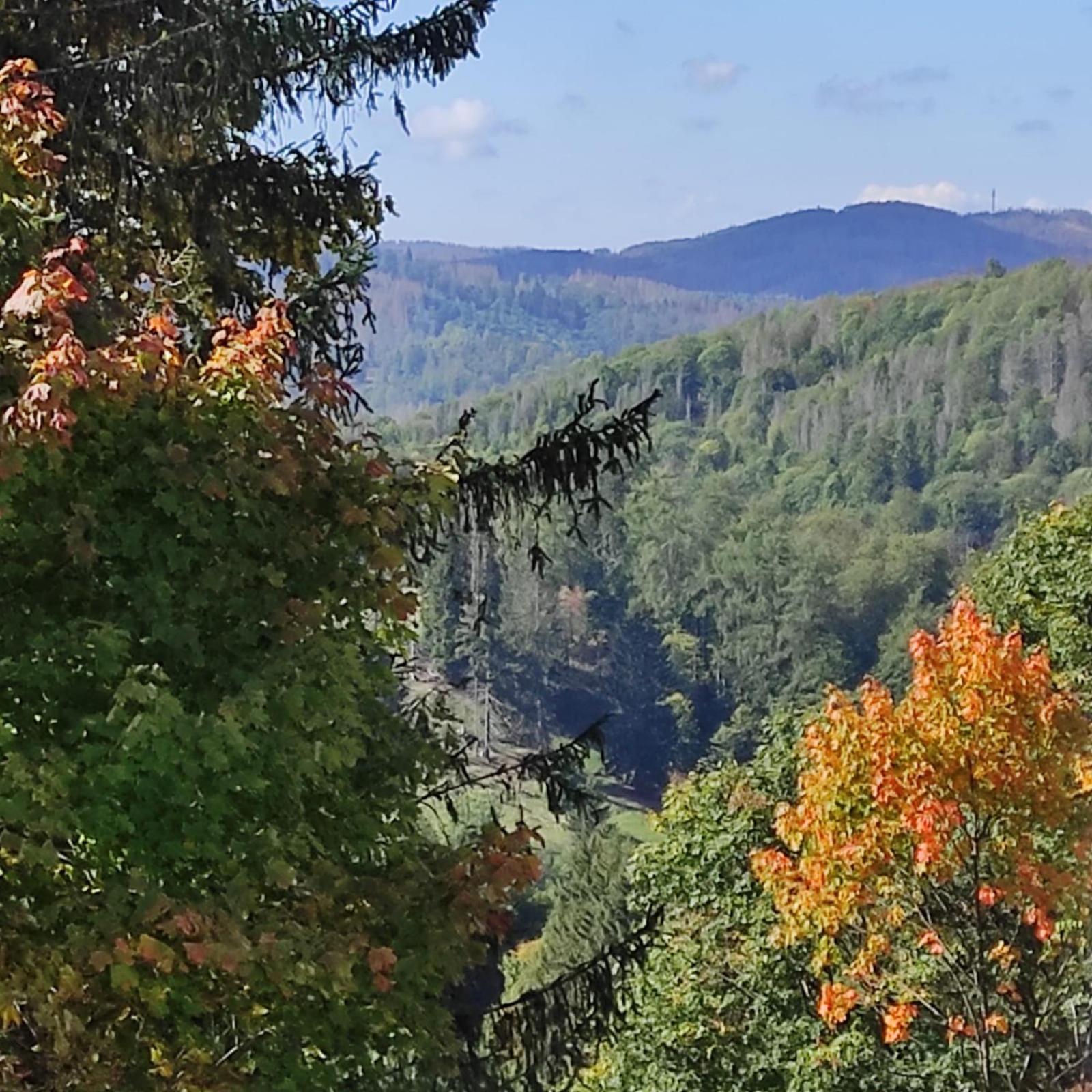 Fewo Harzer Weitblick, Hunde Willkommen, W-Lan, 2X Smart Tv, Dtv 4 Sterne, 4 Pfoten Braunlage Exteriör bild