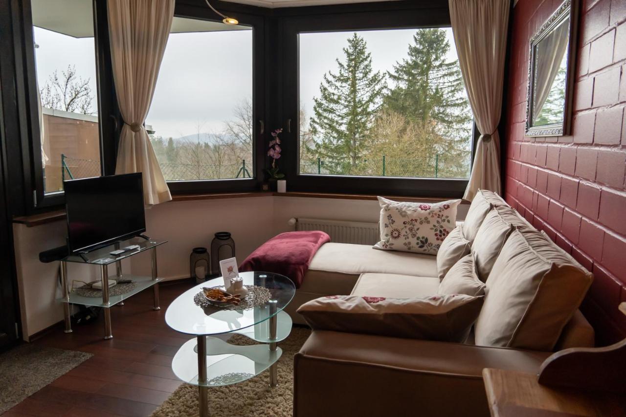 Fewo Harzer Weitblick, Hunde Willkommen, W-Lan, 2X Smart Tv, Dtv 4 Sterne, 4 Pfoten Braunlage Exteriör bild