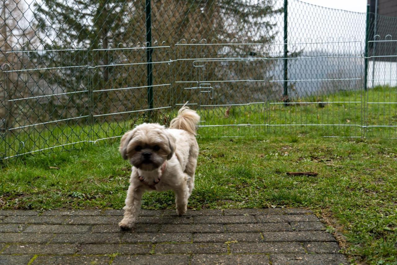 Fewo Harzer Weitblick, Hunde Willkommen, W-Lan, 2X Smart Tv, Dtv 4 Sterne, 4 Pfoten Braunlage Exteriör bild