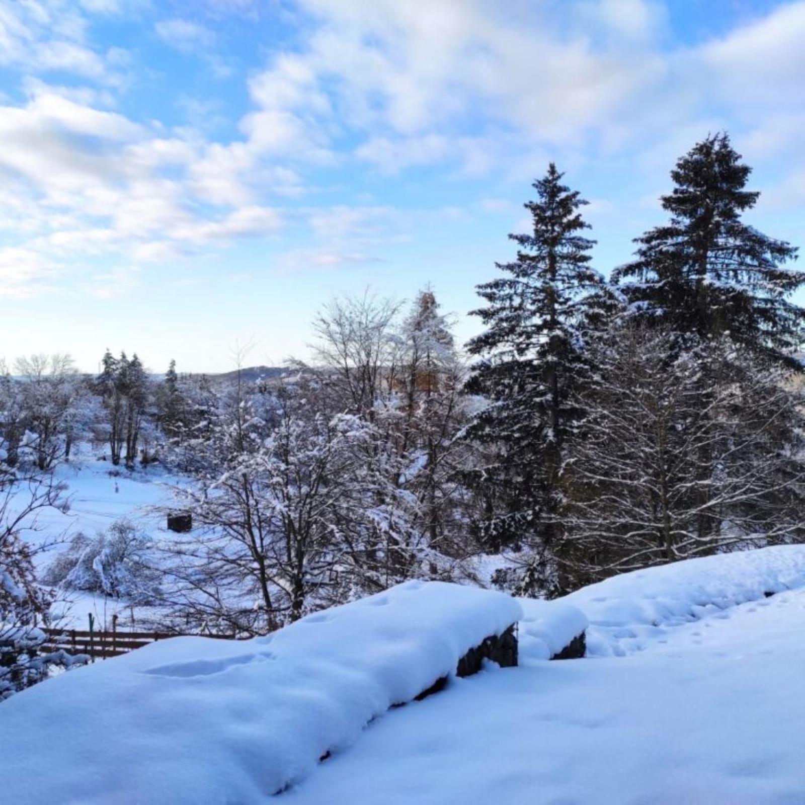 Fewo Harzer Weitblick, Hunde Willkommen, W-Lan, 2X Smart Tv, Dtv 4 Sterne, 4 Pfoten Braunlage Exteriör bild